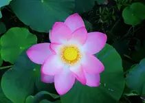 K1024_DSCN3325.webp