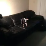 couch.webp
