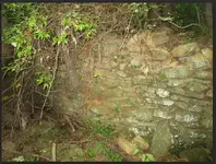 RED OAK STONE HOUSE 2.webp