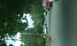 20160709_153050.webp