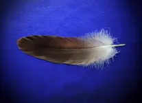 K1600_FSCN2226.webp