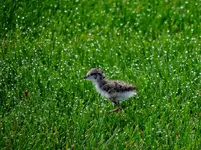 K1600_DSCN2148.webp