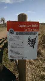 coyote sign.webp