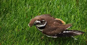 K1600_DSCN2141.webp