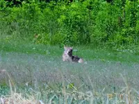 K1600_DSCN2186.webp