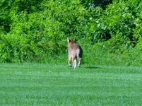 K1600_DSCN2187.webp