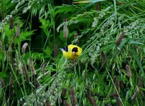 K1600_DSCN2154.webp