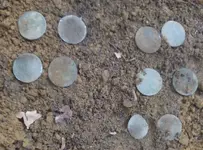 coins.webp