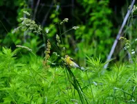 K1600_DSCN2158.webp