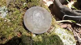 DSCF0238.webp
