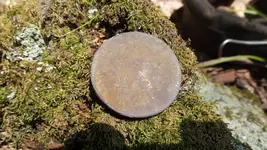 DSCF0239.webp