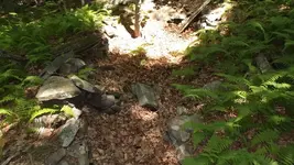 DSCF0240.webp
