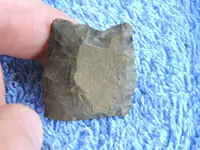 DSCN1436.webp