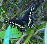 K1024_DSCN3307.webp