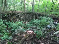 Cellar Holes 003.webp