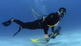 Deep-blue-sea-diving-with-Third-Lung-hookah-diving-lg.webp