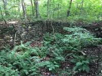 Cellar Holes 004.webp
