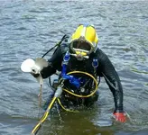 Diver4.webp