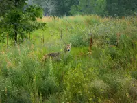 bike ride 070116 1.webp