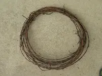 barbwire 1.webp