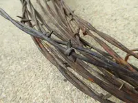 barbwire 2.webp