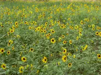 bike ride 070116 8.webp