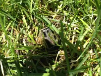 IMG_0053.webp IMG_0053.webp