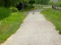 bike ride 070116 12.webp