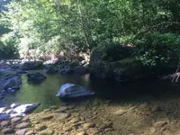 ImageUploadedByTreasureNet.com1471655286.395435.webp