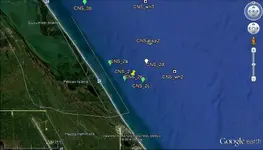 CNS_shoreline2.webp