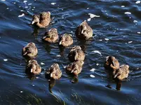 K1600_DSCN3796.webp