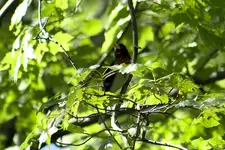 K1600_IMG_7216.webp