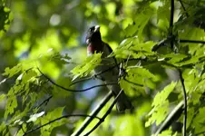 K1600_IMG_7217.webp