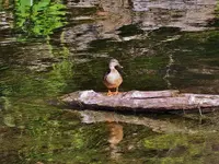 K1600_DSCN3789.webp
