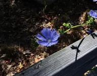 K1600_DSCN3803.webp