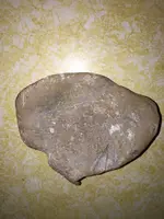 ImageUploadedByTreasureNet.com1470091322.329464.webp
