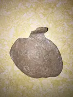 ImageUploadedByTreasureNet.com1470091349.598810.webp