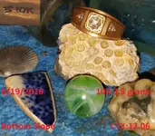 DocBeav 2016 Gold Ring #15.webp DocBeav 2016 Gold Ring #15.webp