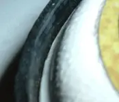 DSCF2135.webp