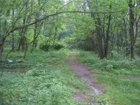 laurel-run-borough2.webp