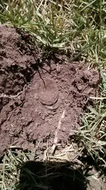 IMG_20160710_114423093.webp
