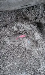 20160723_101030.webp