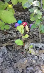 20160724_122905.webp