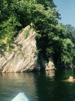 image.webp