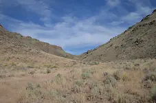 Indian fight11.webp