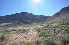 Indian fight road1.webp