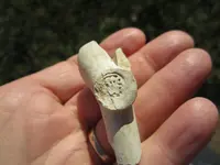 sterridge mark2.webp