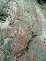 image.webp