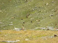 RMNP 081016 4.webp