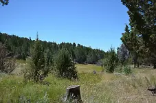 wagontire camp3.webp